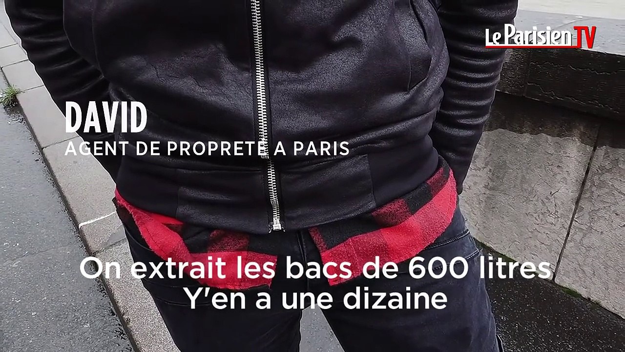 Des rats plein Paris