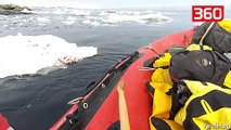 Ishin për një ekspeditë shkencore në Antarktidë, ajo që del nga uji i lë të gjithë pa fjalë (360video)
