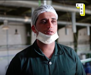 Iranian Olive Factory