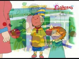 Caillou s02 - Caillou's Bad Dream, Caiilou Compates, Caillou's Big Discovery