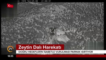 Zeytin Dalı Harekatı