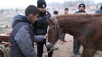 Afrin'den atılan roket ahıra isabet etti (2) - KİLİS