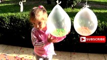 5 MM Balloons Compilation -Six Funny Candy Balloon Finger Family Songs Learning