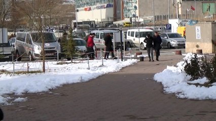 Polisten kaçan sürücünün otomobilinde bonzai çıktı