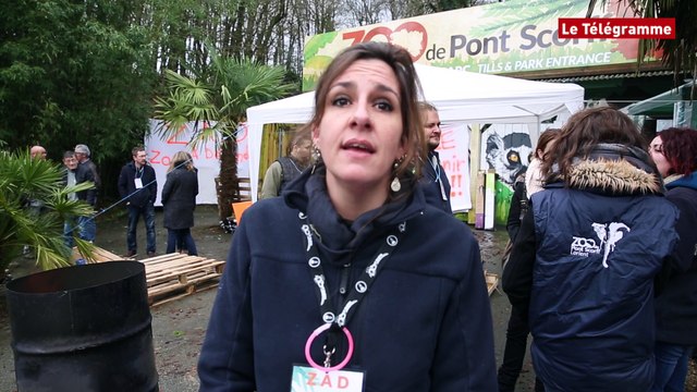 Zoo de Pont-Scorff. Une partie du personnel en grève illimitée