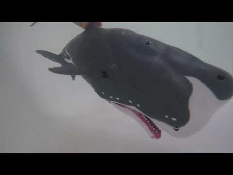 Bathtub Submarine Adventure! What Sea Animal Toys are in the Tub
