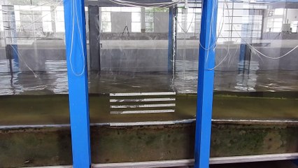 Réflexion ondes SIWRR