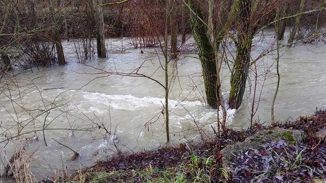 Le Suzon à Dijon lundi 22 janvier 2018