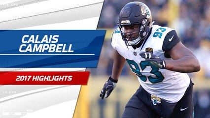 Calais Campbell 2017 highlights