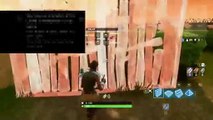 Mein erster Livestream FORTNITE (5)