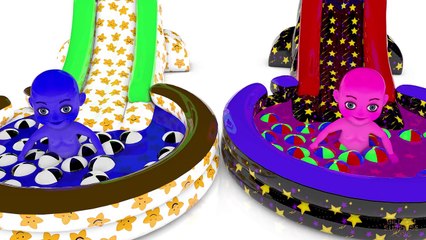 Learn Colors with Pool Babies 3D _ Colours for Kids Toddlers Children