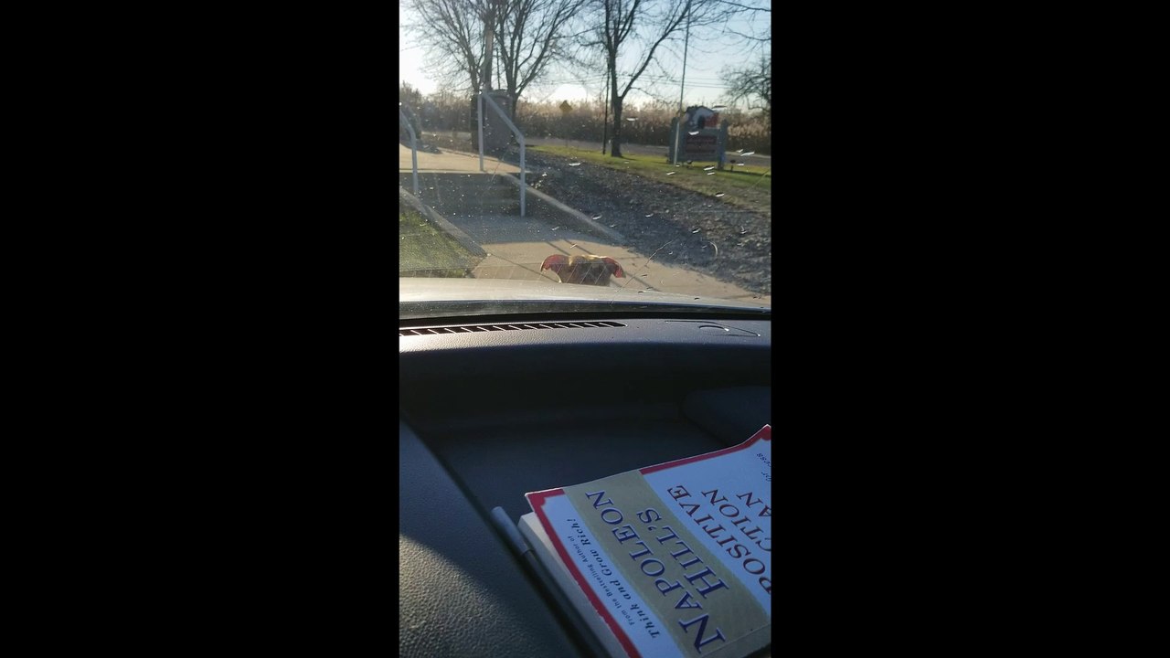 Scared Straight Pup Style