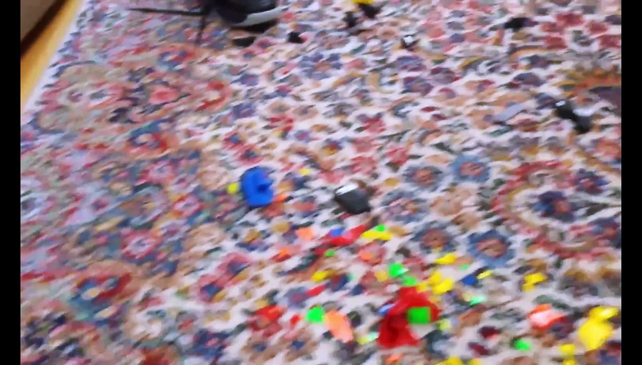 Funny Guilty Dogs Compilation