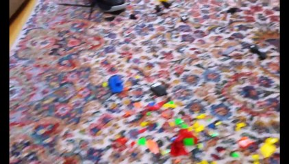 Funny Guilty Dogs Compilation