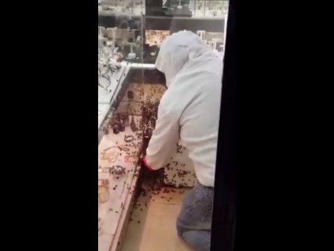 Quand une ruche entière envahie une bijouterie à Montpellier... Des milliers d'abeilles