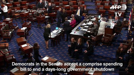 US Democrats accept compromise to end government shutdown
