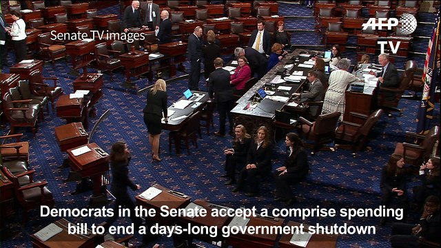 US Democrats accept compromise to end government shutdown