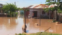 Afectados por inundaciones en Asunción apuran mudanzas para escapar del agua