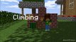 Animal School: Climbing (Minecraft Animation, TeamMP)