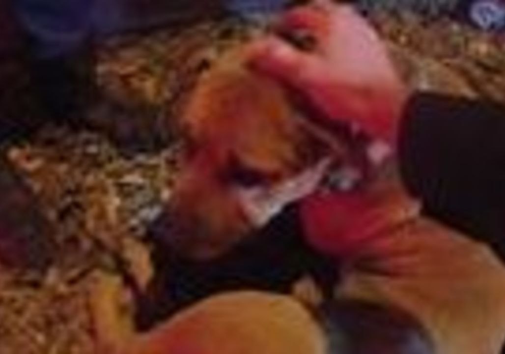 Atlanta Police Name Dog 'Smokey' After Saving Him From Burning Home