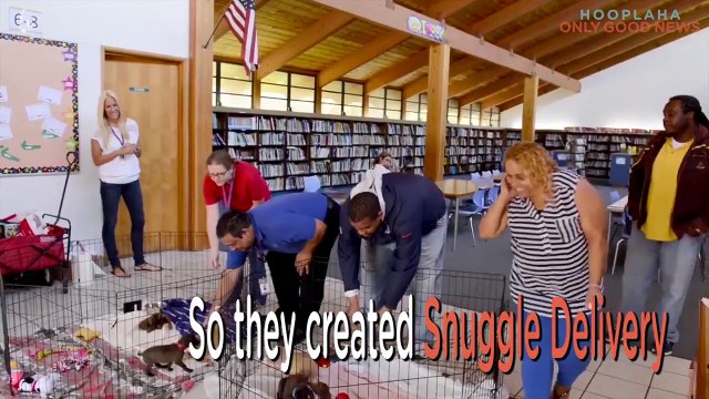 5 Rescue Shelters That Are Finding Dogs Love And FURever Homes