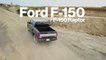 Best Full-Size Pickup Truck: Ford F-150 / Raptor