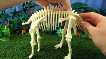 Learn counting with Triceratops bones - Count 10 parts of a Triceratops dinosaur skeleton