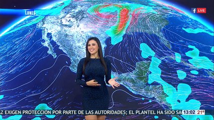 Susana Almeida 22 de Enero de 2018 Vespertino.