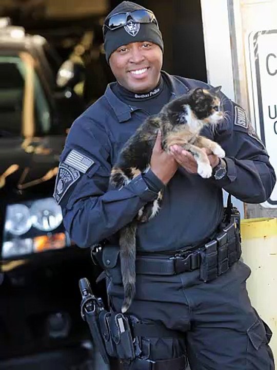 Une histoire d'amour très spéciale entre des Policiers et une chatte errante, à voir absolument!