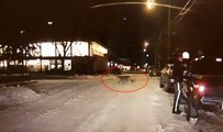 Bir Panter Gördüm Sanki! Sokak Ortasındaki Vahşi Hayvanı Gören Polisin Rahatlığı Şaşırttı