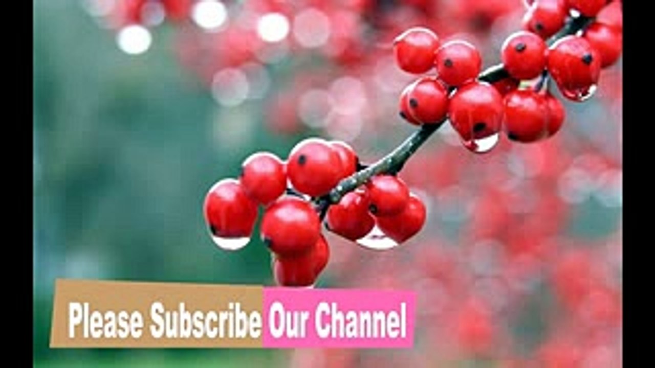 videoplayback (30)