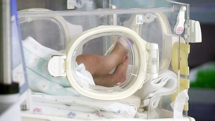 부주의로 신생아 사망하면 병원 '업무정지' / YTN