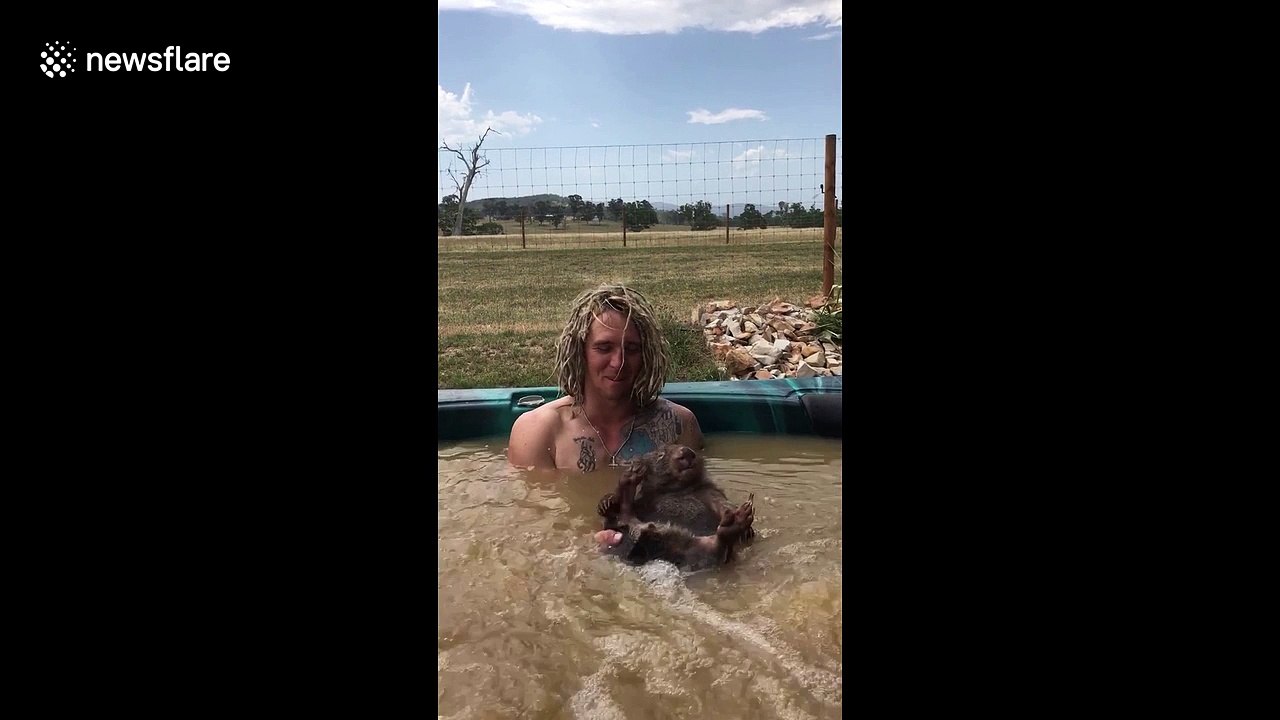 Just a wombat in a jacuzzi
