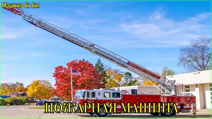 Транспорт и спецтехника, развивающий мультфильм, изучаем транспорт и звуки