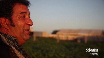 Galgos entre el amor y el odio capítulo 2