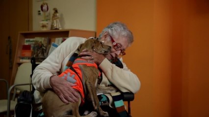 Galgos entre el amor y el odio capítulo 4