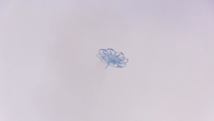 Nuevas aplicaciones en drones