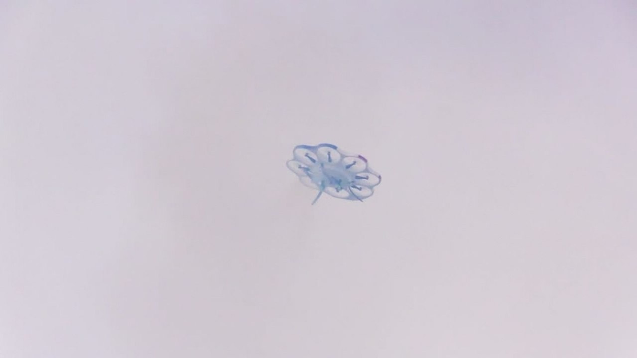 Nuevas aplicaciones en drones