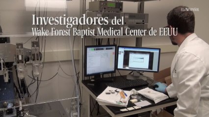 Investigadores han conseguido imprimir tejidos vivos capaces de integrarse en el organismo de un ratón