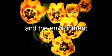 ProLite Environmentally friendly and recyclable plastic bags