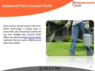 Spider Pest Control Perth, WA