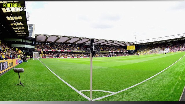 Profile: Javi Gracia | Watford | FWTV