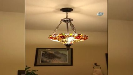 Alaska 8.2 Şiddetindeki Depremle Sarsıldı