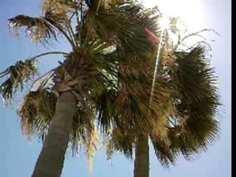 Vacance hotel tunise 2007