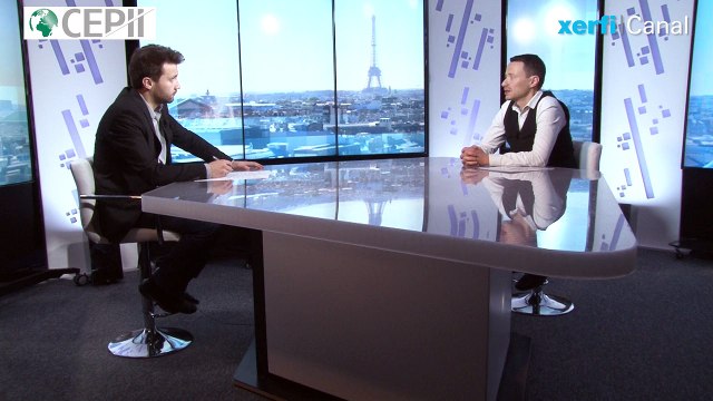 Les inégalités font bondir le crédit et le risque de crise financière [Jérôme Héricourt]