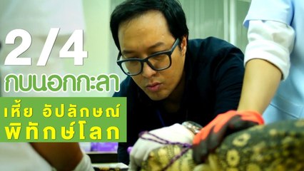 กบนอกกะลา : "เหี้ย" อัปลักษณ์ พิทักษ์โลก ช่วงที่ 2/4 (4 ม.ค.61)