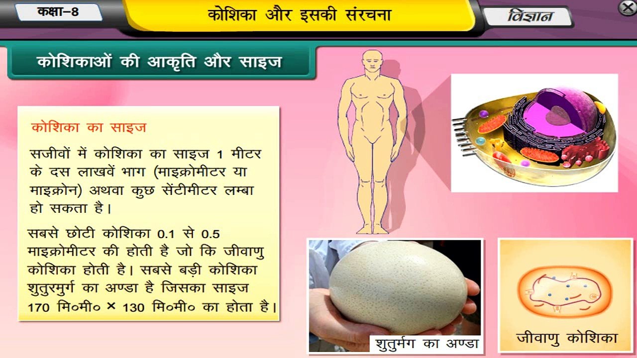 CBSE Class 8 Science Animated Video Lecture : Cell - Structure and Function