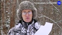 Почему Эрдоган хочет свергнуть Асада? (Познавательное ТВ, Артём Войтенков)