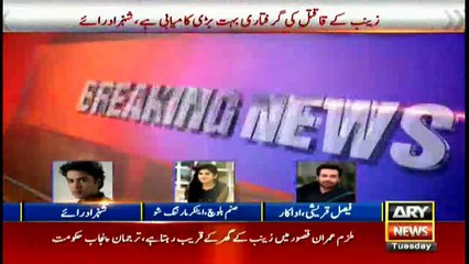 Faisal Qureshi demands for public execution of Zainab's murderer