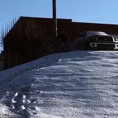 Un petit tour de luge qui termine très mal... Douloureux